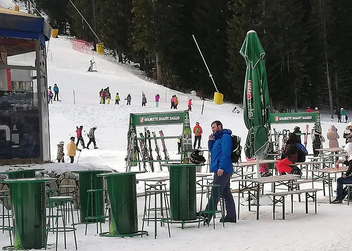 Dinos 2 Bed Cozy At Close To The Lift *